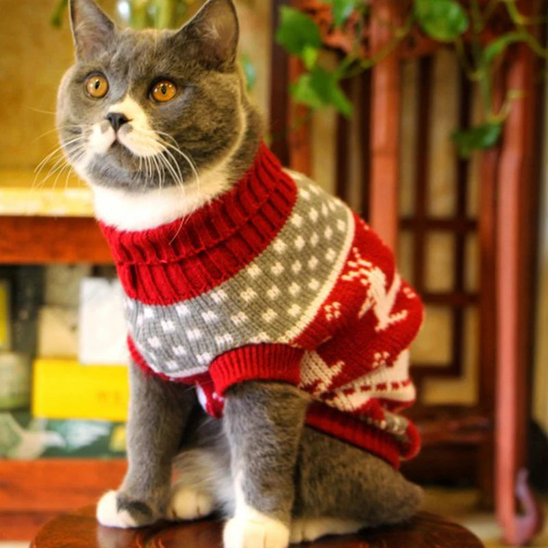 Cute Cat Sweater Costume