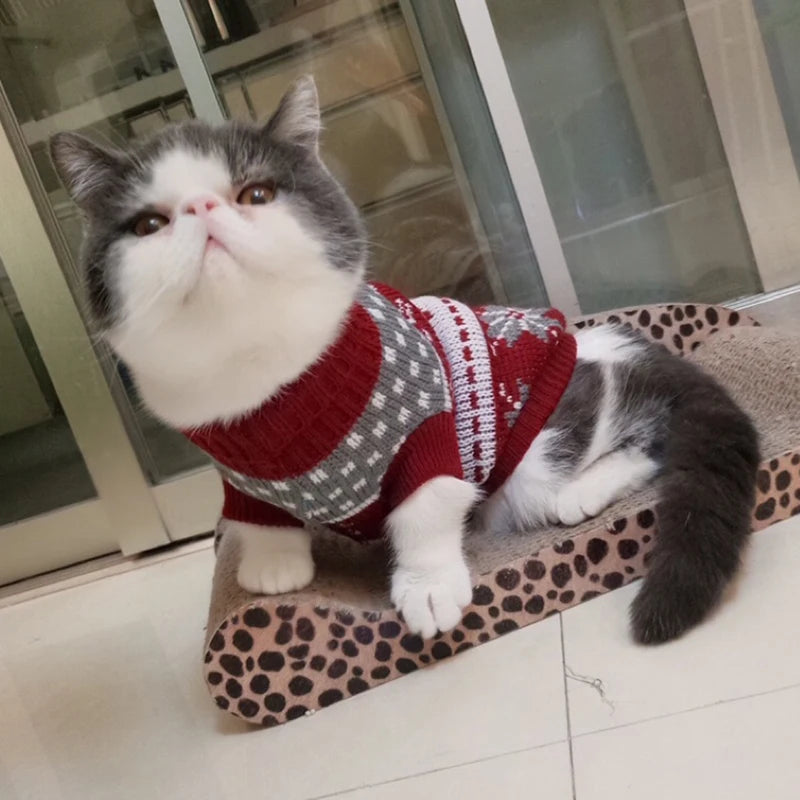 Cute Cat Sweater Costume