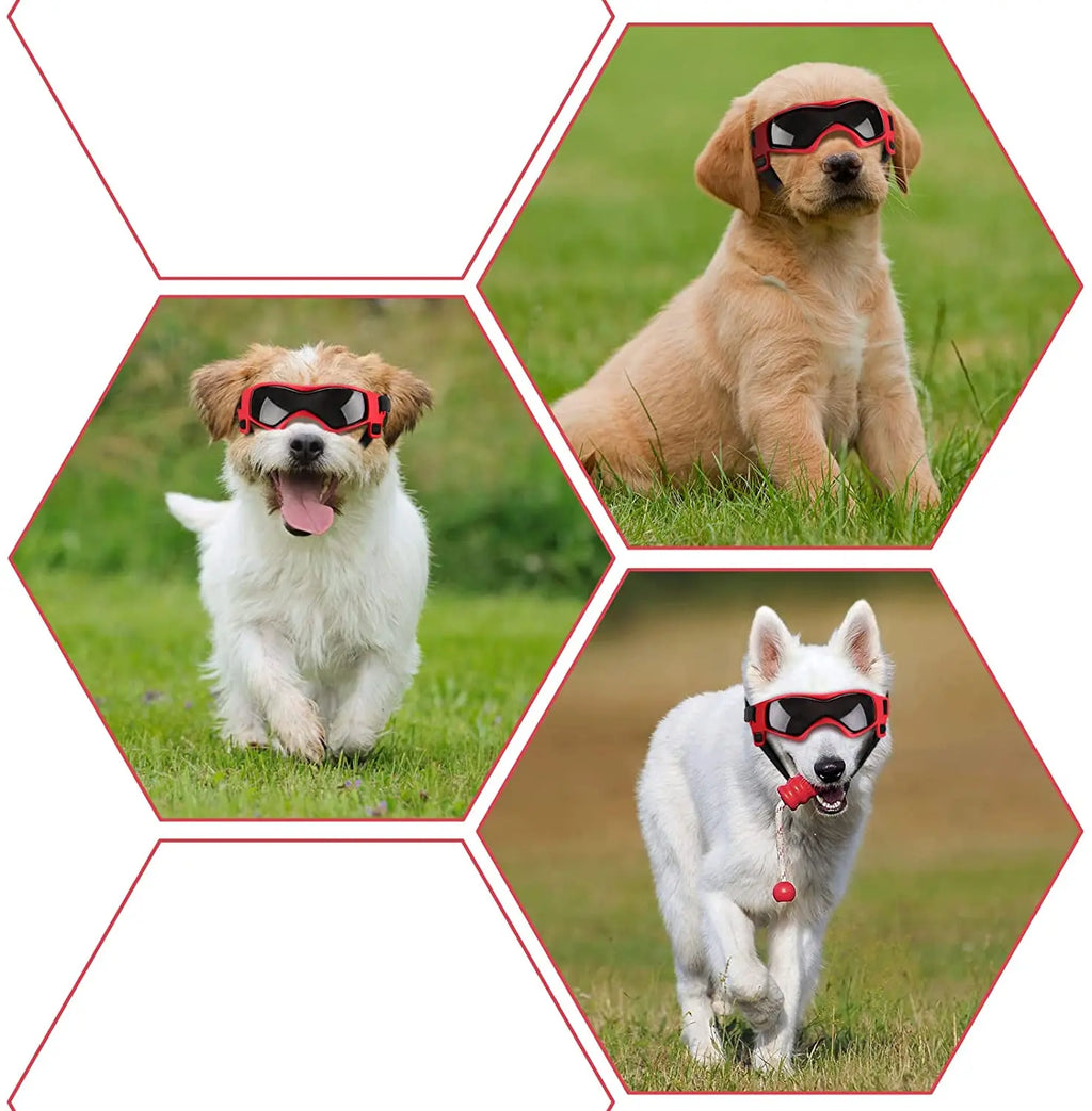 Dog and cat UV-protection goggles with adjustable straps for small to medium pets.