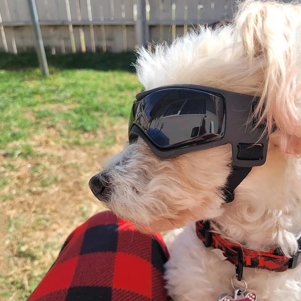 Dog and cat UV-protection goggles with adjustable straps for small to medium pets.