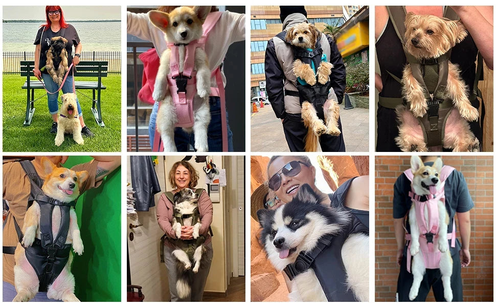 Premium Adjustable Hands-Free Dog Carrier Backpack – Front-Style, Comfortable & Portable