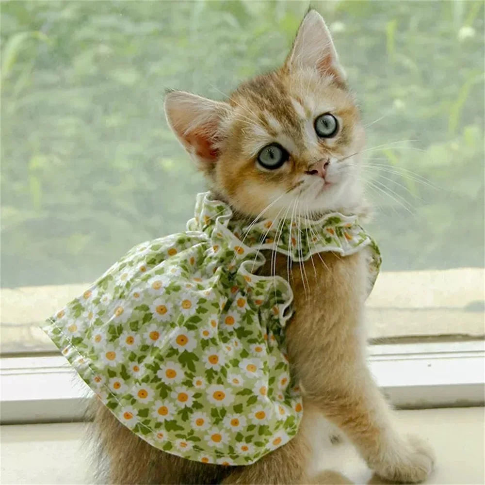 Cats Cotton Summer  Skirt Dresses