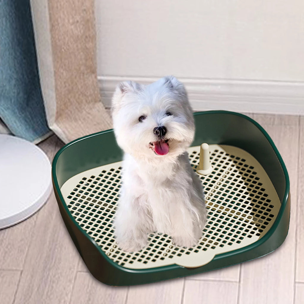 Dog Portable Indoor Toilet