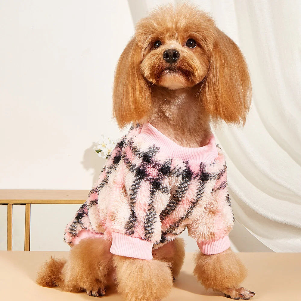Print Puppy Dog Sweater