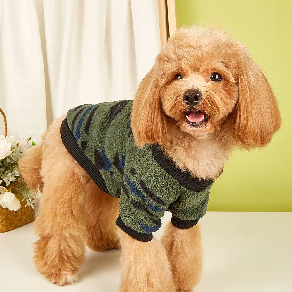 Print Puppy Dog Sweater