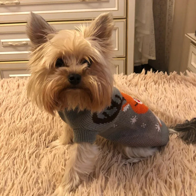 Cute Pet Dog Sweater for Small Dogs