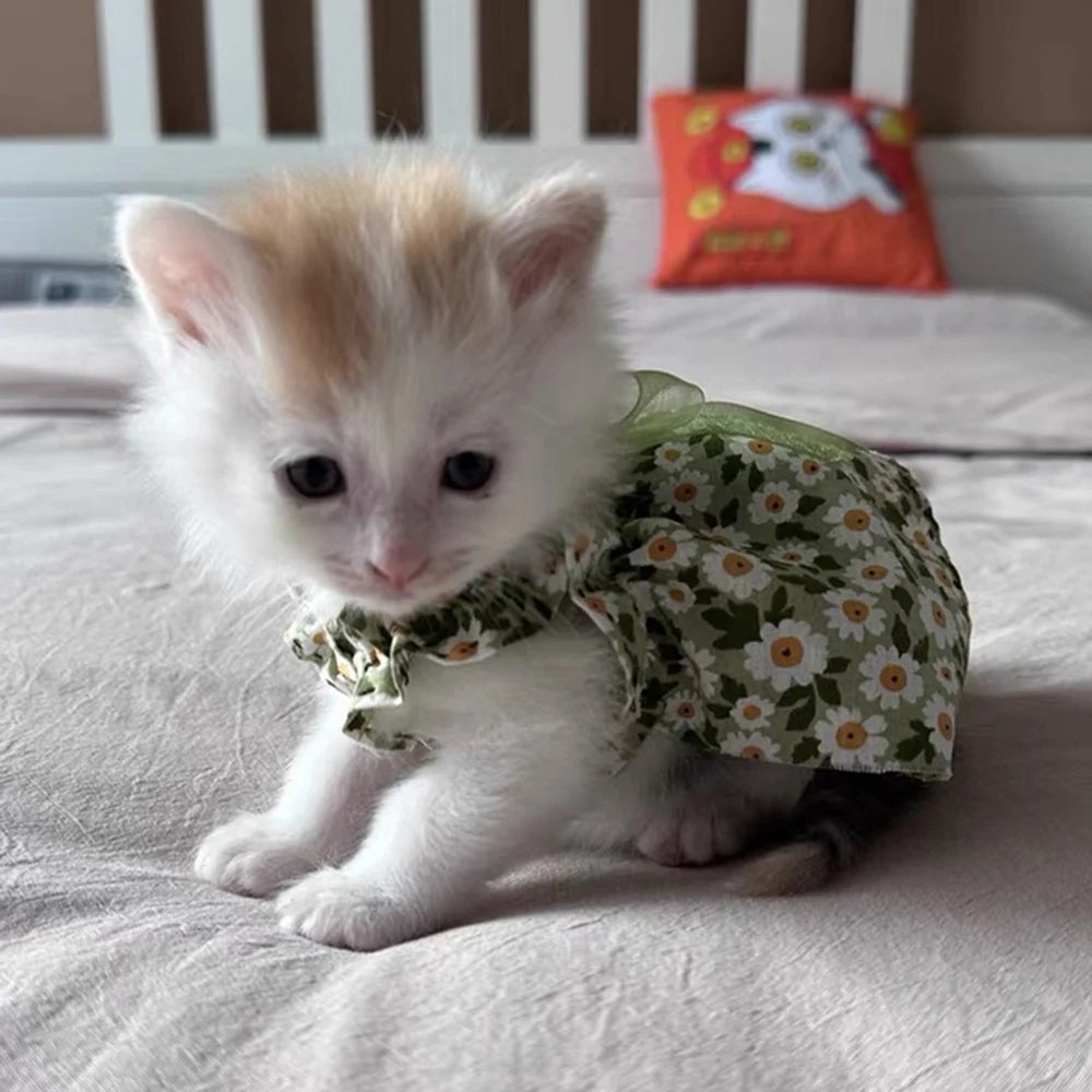 Cats Cotton Summer  Skirt Dresses