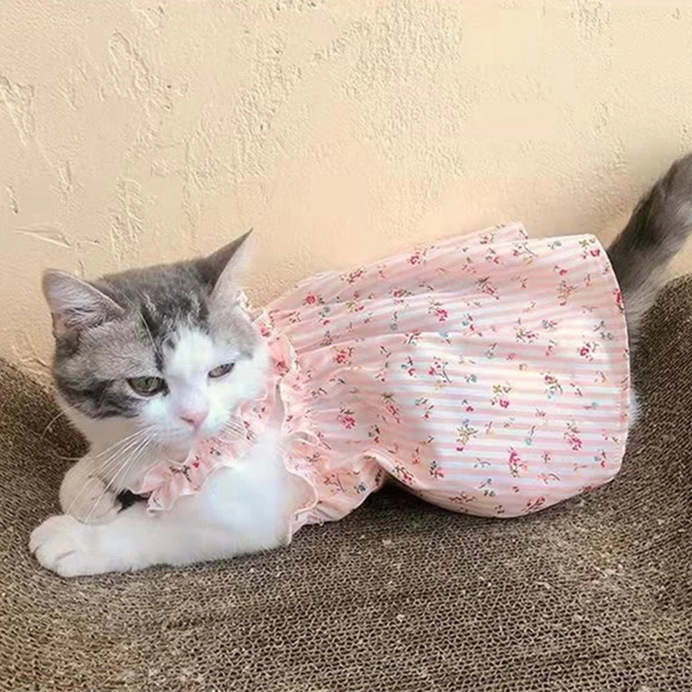 Cats Cotton Summer  Skirt Dresses