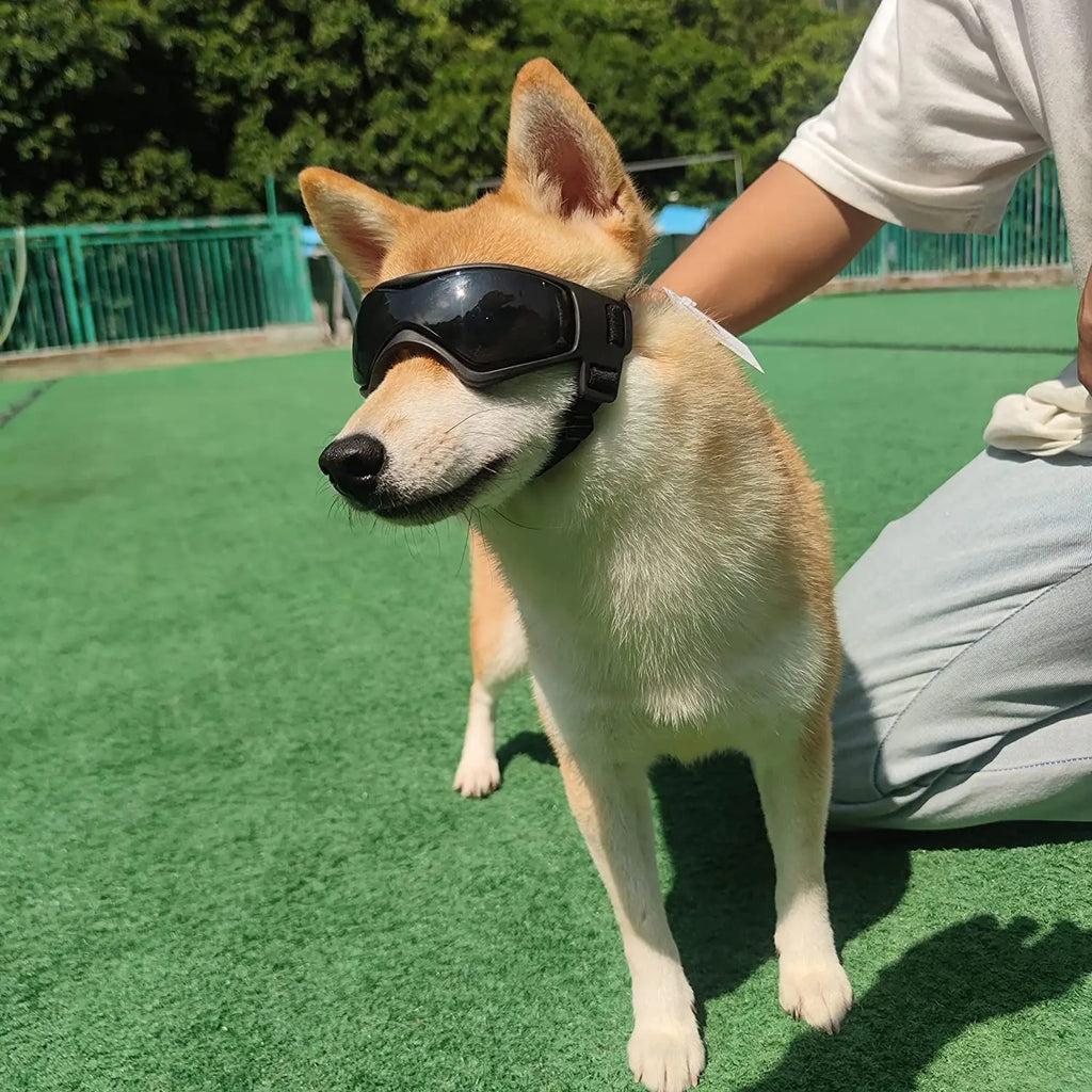 Dog and cat UV-protection goggles with adjustable straps for small to medium pets.