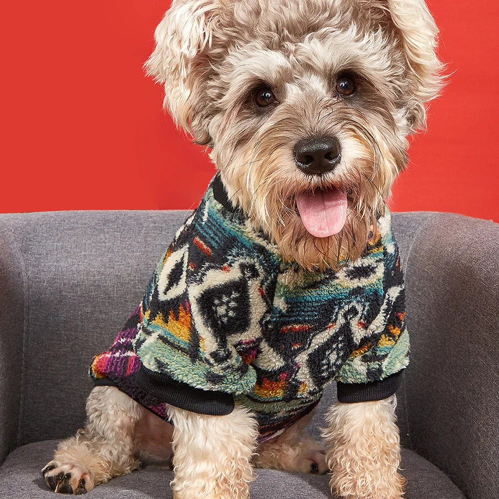Print Puppy Dog Sweater