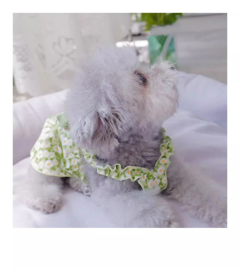 Summer Cotton Pets Suspender Dresses