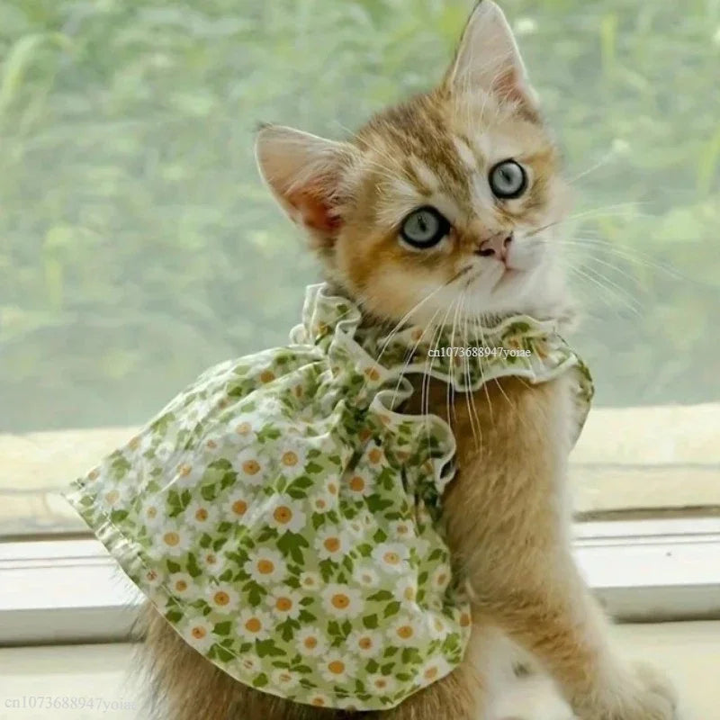 Summer Cotton Pets Suspender Dresses